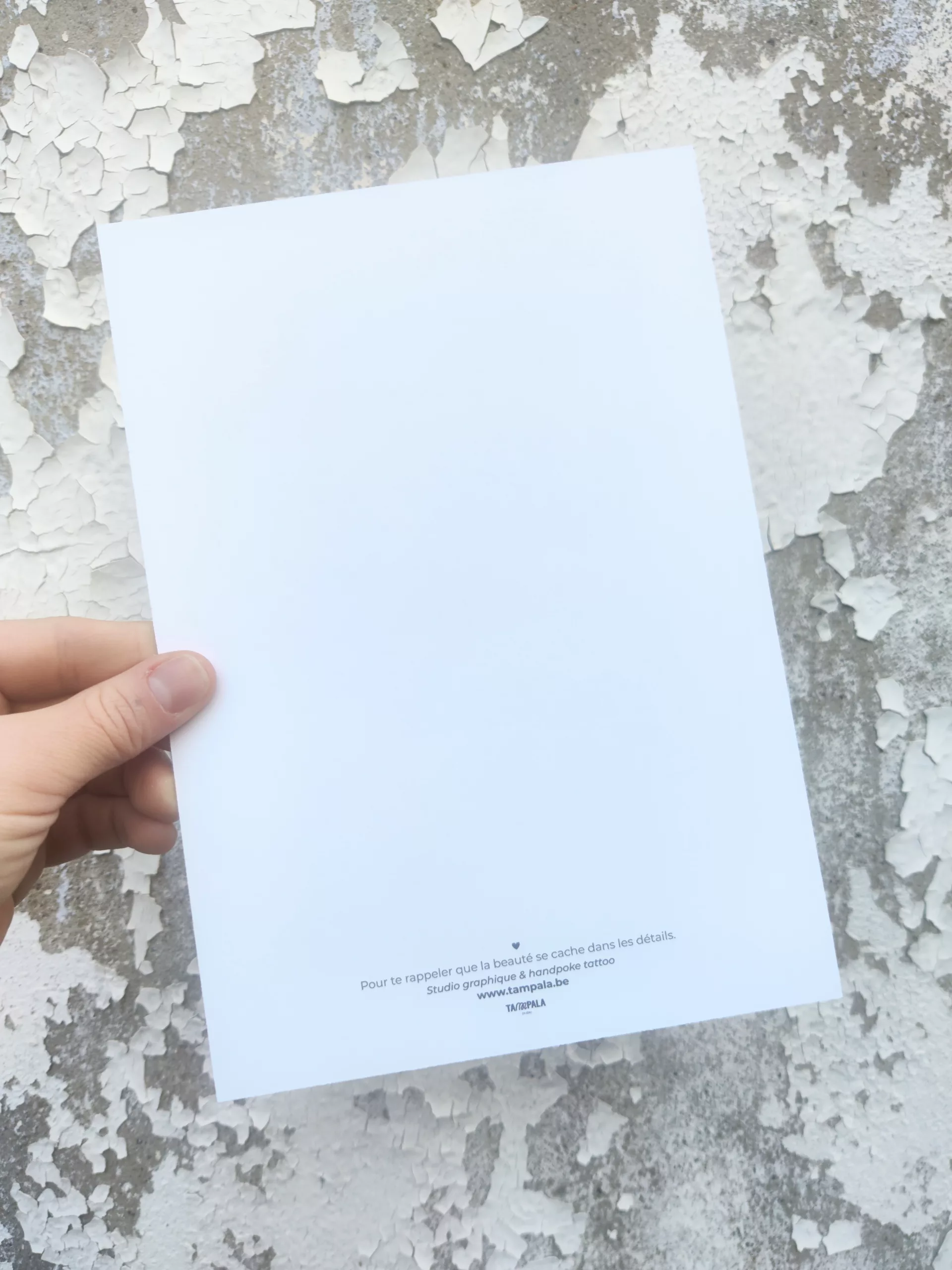 Affichette grande carte A5 - Gros chat – Image 3