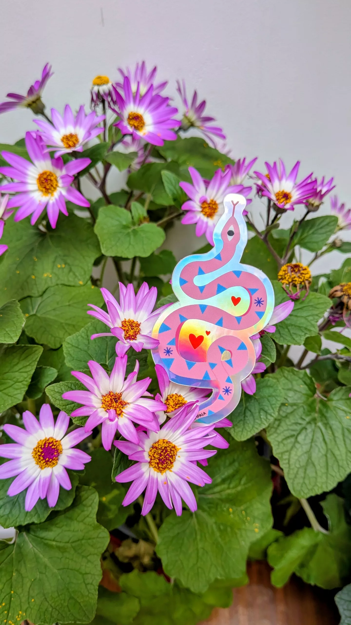 PXL 20260406 112702379.MP~2